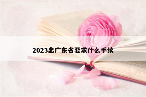 2023出广东省要求什么手续