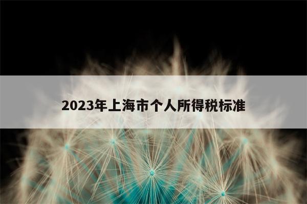 2023年上海市个人所得税标准